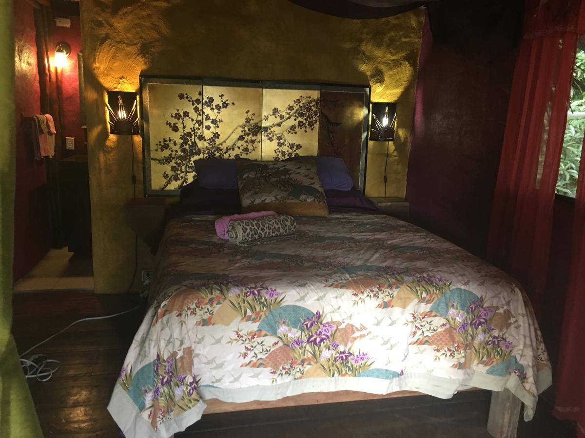 Free Spirit Oasis Hotel Bocas del Toro Esterno foto